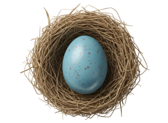 Speckled Blue Easter Egg in Natural Woven Nest