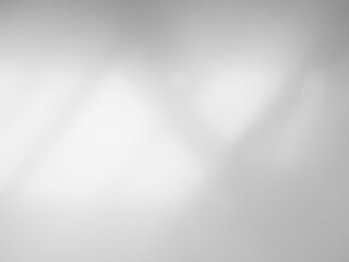 Background shadow white light wall floor backdrop overlay leaf mockup summer sunight overlay nature on room cement abstract blur muckup effect grey minimal platform for presentation product