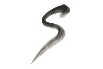 Abstract s-shaped gray paint brush stroke creating an artistic calligraphy smear on transparent background