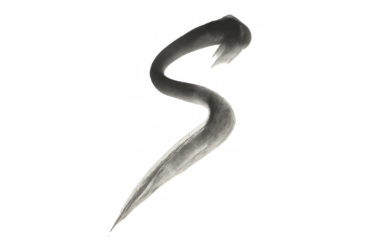 Abstract s-shaped gray paint brush stroke creating an artistic calligraphy smear on transparent background