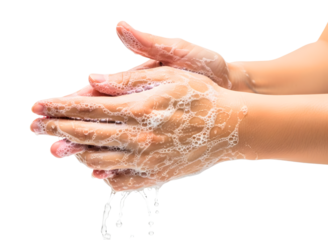Closeup of hands being washed with soap and water, isolated on transparent background