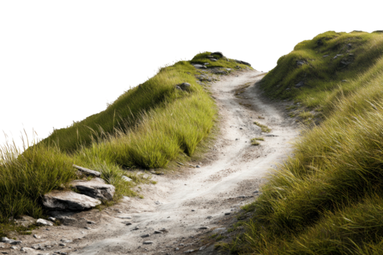 Grassy trail winds upward, rocky path, bright