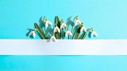  Minimalist Snowdrop Flowers Emerging Behind White Banner on Blue Background