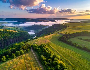 Aerial view of a lush valley filled with low-lying fog under a pastel sky during sunset, a picturesque vista
