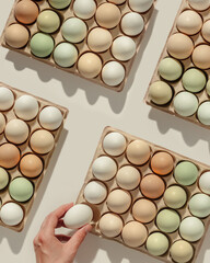 Easter Eggs in carton box at natural daylight, minimal style composition with white beige green colored Chicken egg with soft pastel eggshells, aesthetic holiday repeat pattern, organic dyed eggs.