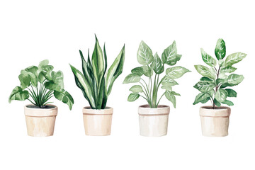 A display of four distinct potted plants. lush green foliage in varying shapes and sizes. set against a clean white background. perfect for home decor or gardening inspiration