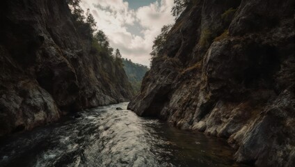 Obraz premium Majestic River Flows Through a Rugged Mountain Gorge with Lush Greenery.