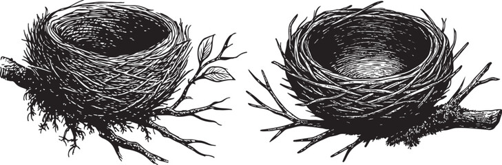 Two Empty Bird Nests on Branches Detailed Black and White Illustration