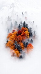 A vibrant cluster of autumn trees with red and orange foliage stands out amidst a dense white fog, with evergreen trees interspersed and a snow-covered mountain