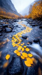 A scenic autumn landscape featuring a clear stream winding through a rocky valley, adorned with fallen golden leaves floating on the water's surface.