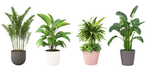 A collection of four stylish indoor potted plants arranged in a modern setting. green foliage. perfect for home decor and enhancing living spaces with natural beauty