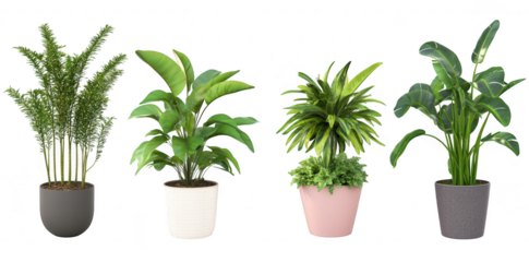 A collection of four stylish indoor potted plants arranged in a modern setting. green foliage. perfect for home decor and enhancing living spaces with natural beauty