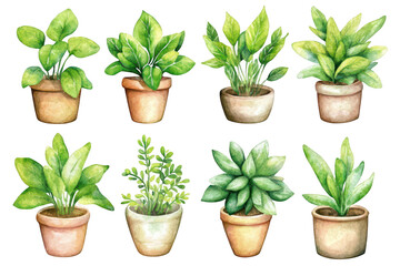 Obraz premium A collection of potted green plants featuring various species in earthy pots. lush foliage and natural beauty. ideal for home decor or gardening inspiration