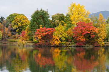 秋彩映す中島公園の湖畔
