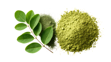 Natural moringa leaves and finely ground moringa leaf powder on transparent background