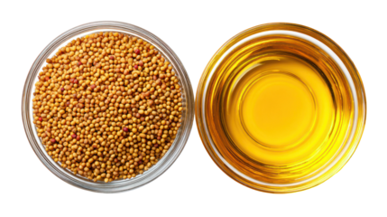 Natural mustard seeds with mustard oil in a glass bowl with splashes on transparent background