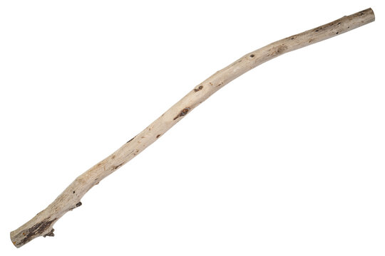 Wooden branch. Natural beach driftwood branch. Crafts Decor, aquarium, terrarium, bird perch. Habitat designs weathered wood piece with organic texture, ideal for natural displays, creative projects - Powered by Adobe