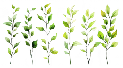 A collection of watercolor illustrations depicting various green leaves and branches. their natural beauty and diversity against a clean white background. ideal for botanical designs and nature-themed