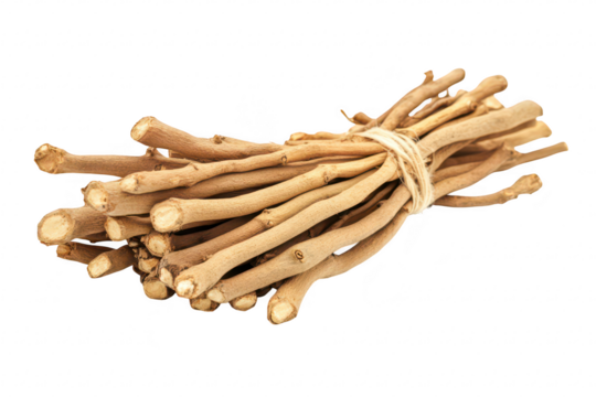 A bundle of dried medicinal roots tied together with natural twine. their earthy tones and textures against a clean white background. ideal for health and wellness content