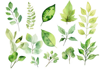 A collection of hand-painted green leaves various shapes and sizes. ideal for nature-themed projects. backgrounds. or botanical illustrations