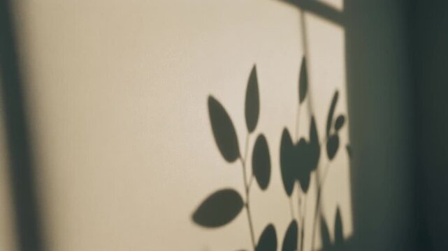 Close-up of a plant's shadow on a wall with a shallow depth of field and dark green frame.