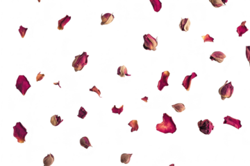 A delicate arrangement of dried rose petals scattered artistically on a clean white background. ideal for use in floral designs. invitations. or romantic themes