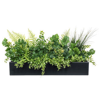 Rectangular black planter containing various ornamental plants and grasses with different textures and heights, ideal for contemporary landscape design isolated on transparent background