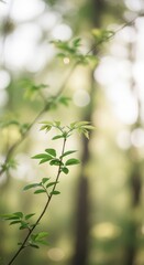 Naklejka premium Young green sapling branch extends upward with bright bokeh lights in the background