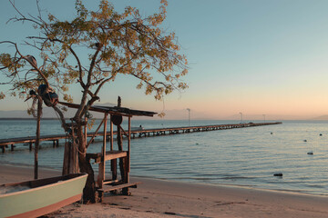 Tree facing the sea next to a boat on a quiet beach with a long pier in Florianópolis, Floripa, Santa Catarina, Brazil.
