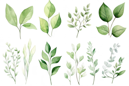 A collection of beautifully illustrated watercolor leaves in various shapes and shades of green. the diversity of foliage. perfect for nature-themed designs and backgrounds (1)