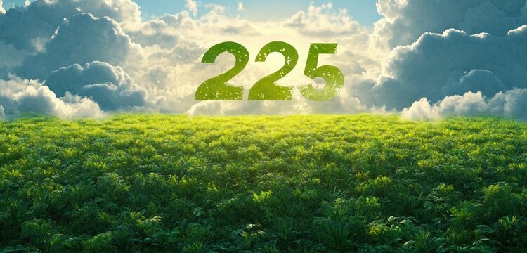 large green numerals 225 hovering above a lush sunlit grassy field beneath dramatic fluffy clouds, evoking serene hope and optimistic calm