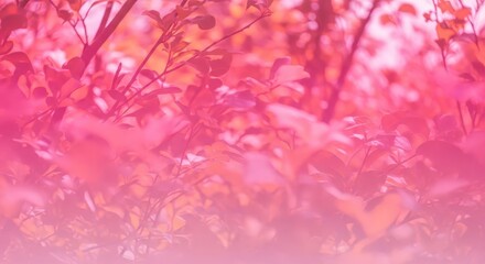 Obraz premium Lush foliage bathed in vivid pink and warm tones creates an abstract botanical background