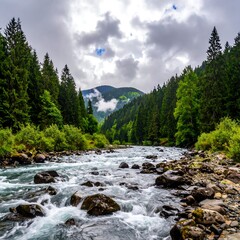 A swift river flows through a forest under a cloudy sky, water rushing over rocks, surrounded by green trees