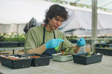 Young Asian Gen Z Men Planting Cacti into Pots at a Sustainable Workshop to Boost Eco-Friendly Gardening