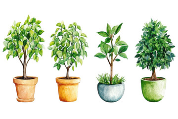 Obraz premium A collection of four potted plants various types of greenery. each in distinct pots. set against a clean white background. perfect for home decor or gardening inspiration