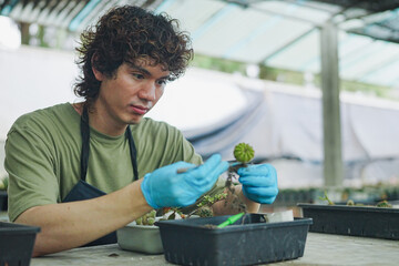 Young Asian Gen Z Men Planting Cacti into Pots at a Sustainable Workshop to Boost Eco-Friendly Gardening