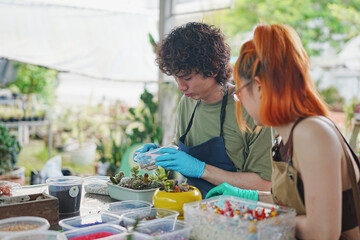 Young Asian Mastering Cactus Cultivation at Sustainable Workshop on Cactus Farm to Inspire Earth Care