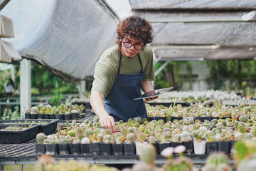 Young Asian Man Gardener Working in Greenhouse Surrounded by Plants, Pots, and Thriving Cactus Farm