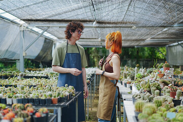 Young Asian Man and Woman Gardeners Working Together in Greenhouse with Tablet, Caring for Cactus Flowers and Plants