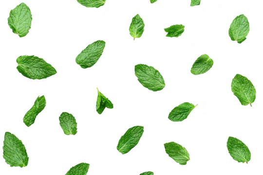 A arrangement of fresh mint leaves scattered on a clean white background. ideal for culinary use. herbal remedies. or as a decorative element in food photography