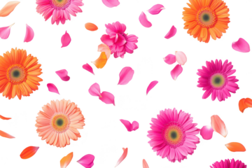 A arrangement of orange. pink. and purple flowers surrounded by scattered petals on a clean white background. ideal for floral designs. celebrations. or nature-themed projects