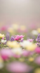 Fototapeta premium Soft focus pastel blossoms fill a vast meadow under bright diffused light