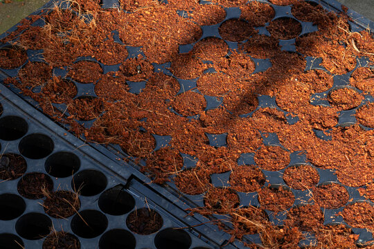 Texture background: black plastic seedling tray filled with brown coir, top-down view - Powered by Adobe