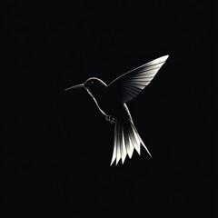 Fototapeta premium monochrome hummingbird silhouette with wings spread, hovering in dramatic rim lighting against a deep black background, evoking graceful calm and elegant stillness