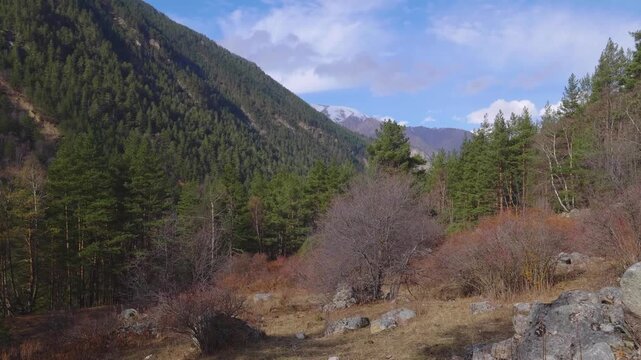 A picturesque view of a mountain valley in the North Caucasus region of Russia. The footage captures a landscape of coniferous and deciduous trees, with a winding riverbed and rocky terrain under a bl