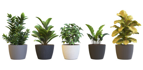 A display of five diverse indoor plants in stylish pots. various foliage textures and colors. set against a clean. minimalistic background ideal for home decor inspiration