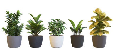 A display of five diverse indoor plants in stylish pots. various foliage textures and colors. set against a clean. minimalistic background ideal for home decor inspiration