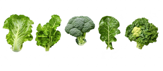 A arrangement of various leafy greens including romaine lettuce. broccoli. and collard greens on a clean white background. their fresh appearance for culinary use