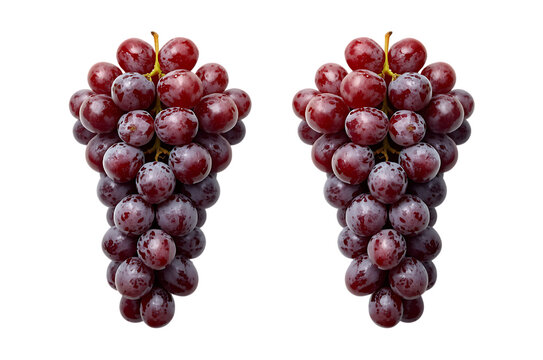 Two bunches of ripe red grapes isolated on a black background - Powered by Adobe