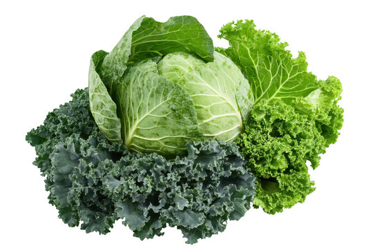 A arrangement of fresh green vegetables including cabbage and various types of kale. their textures and colors against a clean white background. ideal for healthy eating concepts - Powered by Adobe